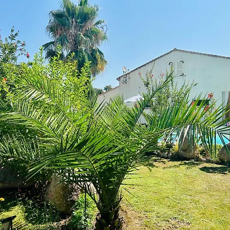 D'hotes Casa Tib Bed & Breakfast